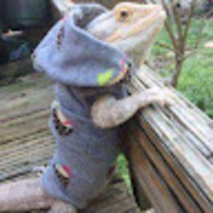 Meet your Posher, Not